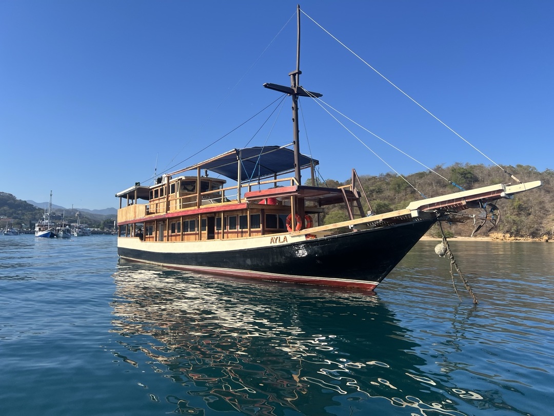 Open Trips 3D2N by Ayla Liveaboard Superior Phinisi - Komodo Sharing Tours